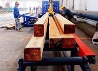 Industrial Timber Sawing Sawmill Machine Twin Blade Double Heads Automatic Sawmill Line